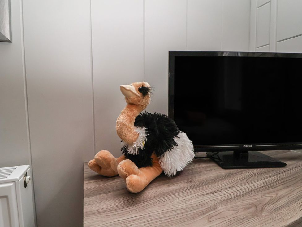 A plush ostrich toy next to a television in a living room at Holly Lodge in Lloc near Caerwys