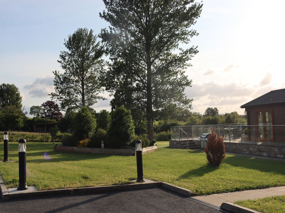 An outdoor area with trees and lawn at Pine Lodge in Lloc near Caerwys