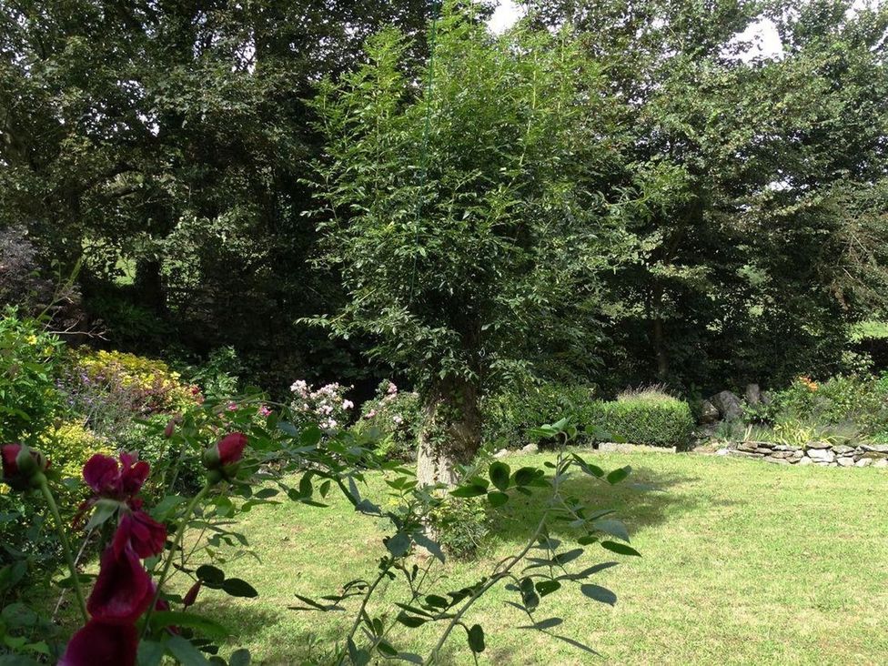 A garden with trees and flowering plants at The Cider Barn at Home Farm Down Thomas near Wembury