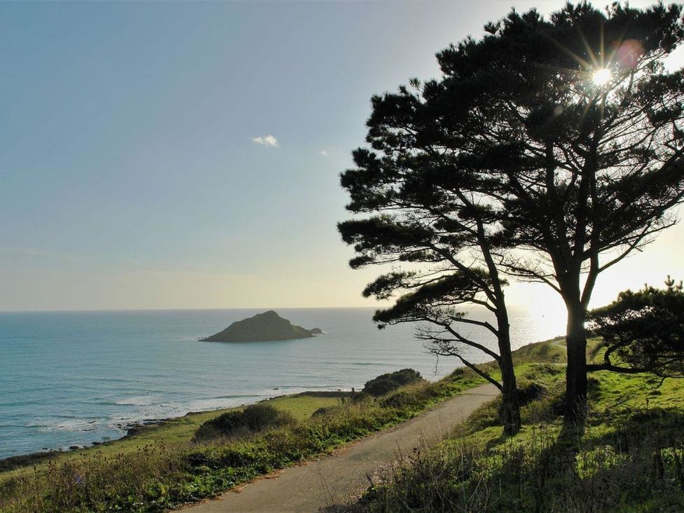 A view of an ocean and island from a path with a tree at The Cider Barn at Home Farm Down Thomas near Wembury