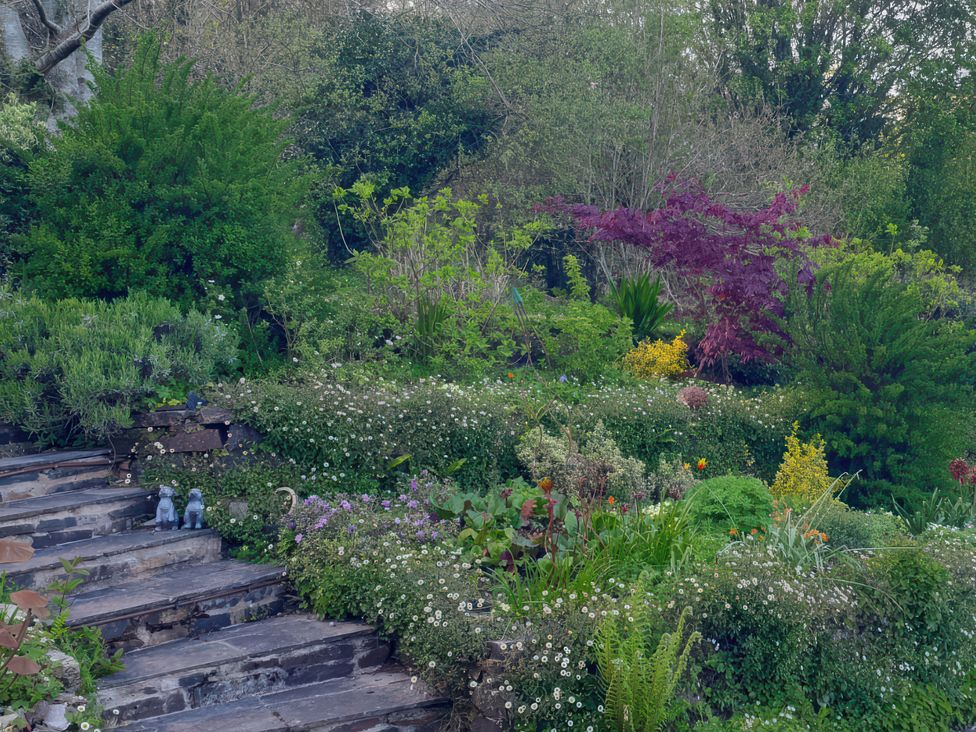 A garden with plants and flowers near stone steps at Kerslake House in Crafthole