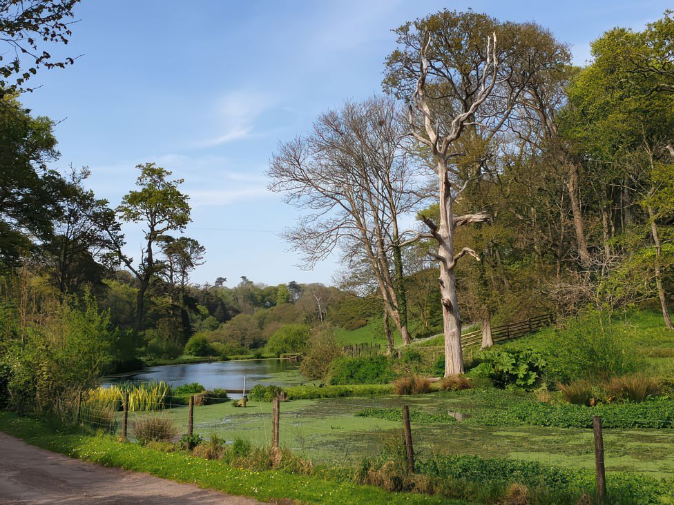 A scenic view of a pond surrounded by trees and grass at Kerslake House Crafthole
