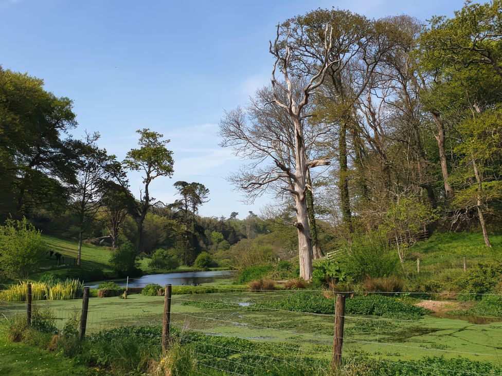 A natural landscape with a river and trees at Kerslake House in Crafthole