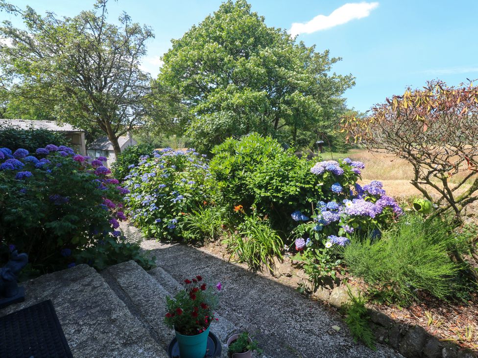 A garden with flowers and plants at Halwyn Farm in Helston