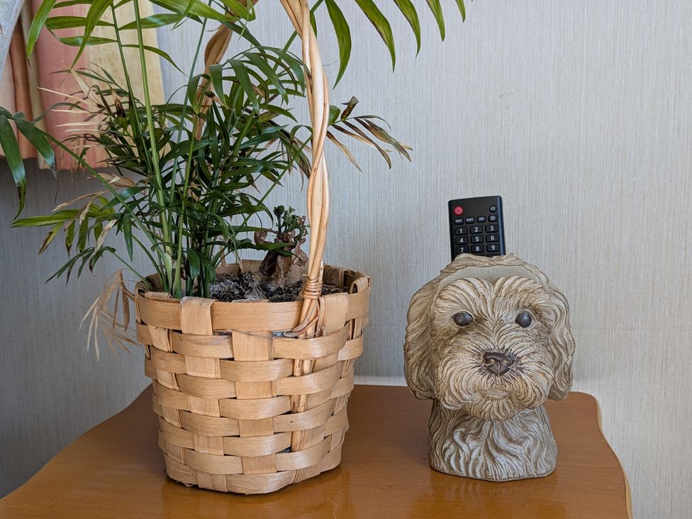 A plant in a basket and a dog figurine with a remote control at Roslyn, Romsey