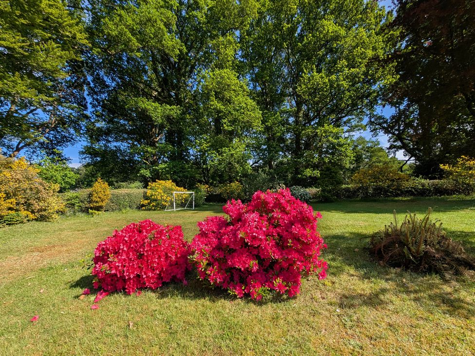 A garden with azaleas and a goalpost at Roslyn in Romsey