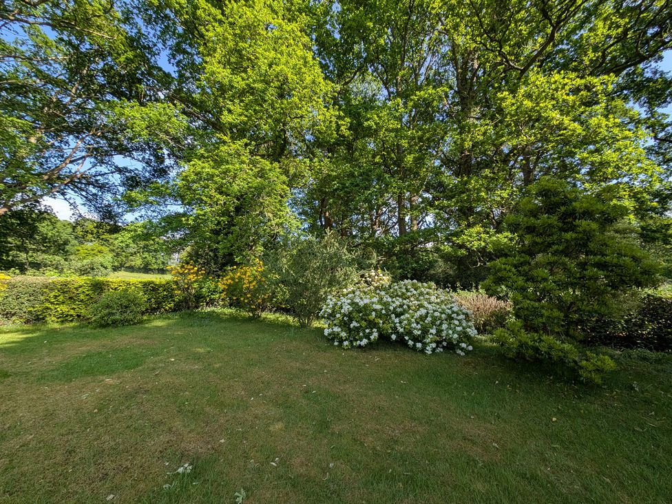 A garden with trees and flowering plants at Roslyn in Romsey