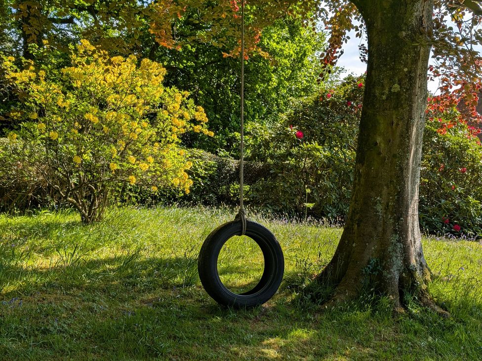 A tire swing hanging from a tree in a garden at Roslyn Romsey