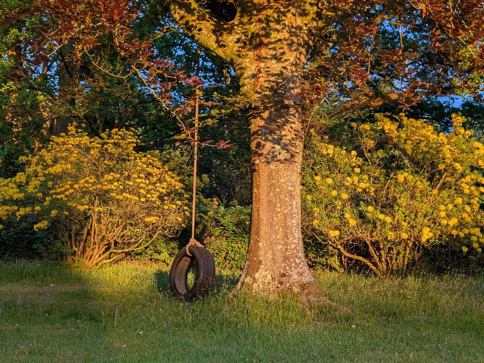 A tree with a tire swing and yellow flowers at Roslyn in Romsey