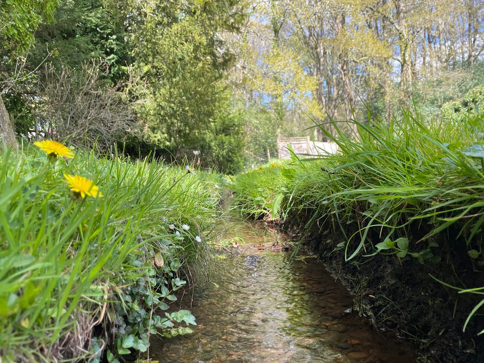 A view of a stream surrounded by grass and dandelions at Roslyn in Romsey