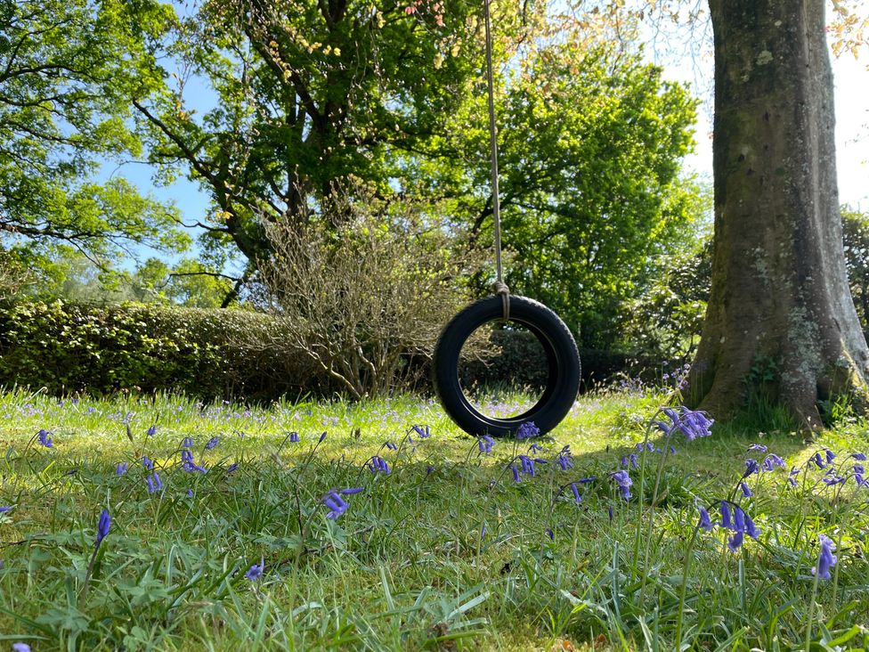 A tire swing hanging from a tree surrounded by bluebells at Roslyn in Romsey