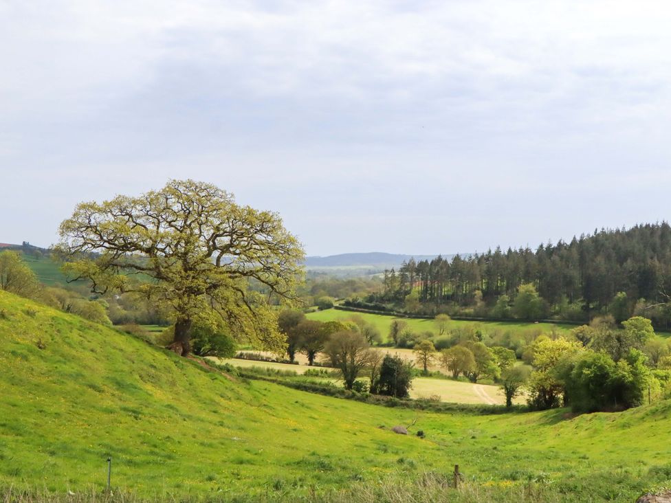 A landscape with a tree and fields at Dowrich West Wing Apartment Crediton