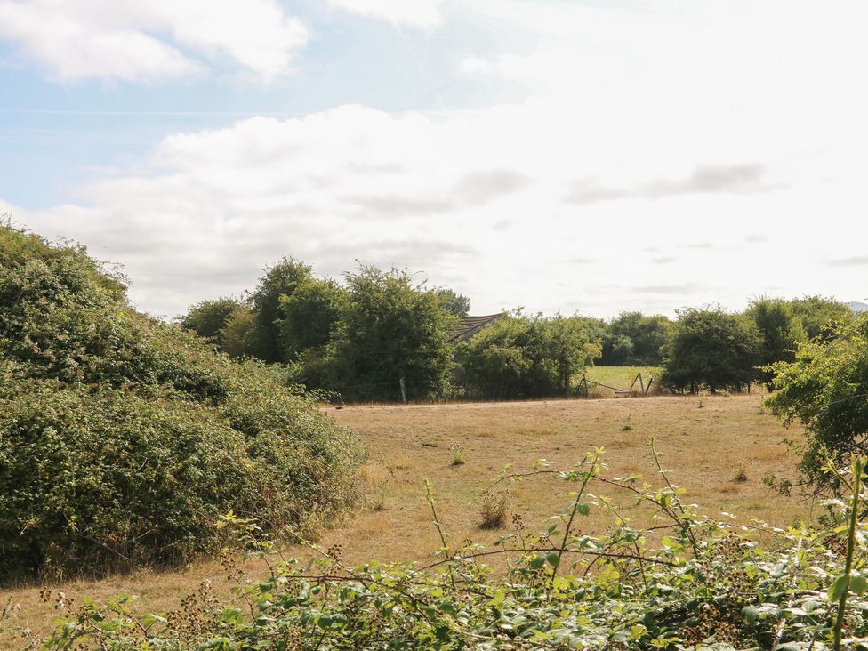 A field with bushes and trees at Meadow View in Kinmel Bay