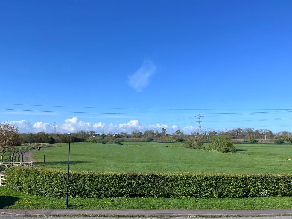 A field with power lines and trees at Wardenlea Scorton