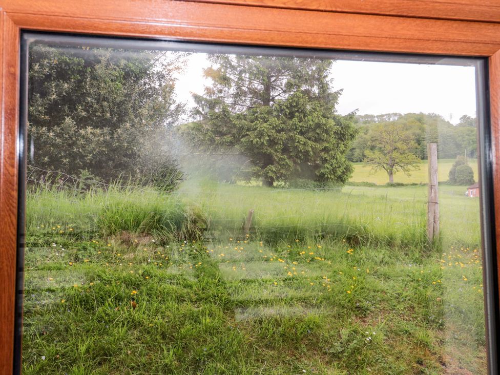 A view of trees and grass from a window at Orchard Cottage in Ledbury