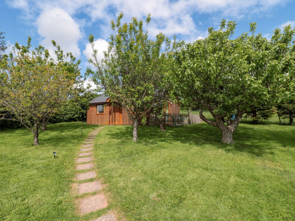 A garden with trees and a shed at Orchard Cottage in Ledbury