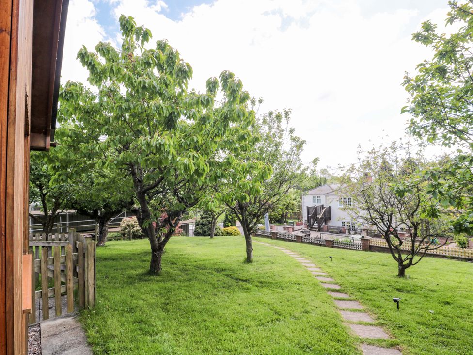 A garden with trees and a pathway at Orchard Cottage in Ledbury