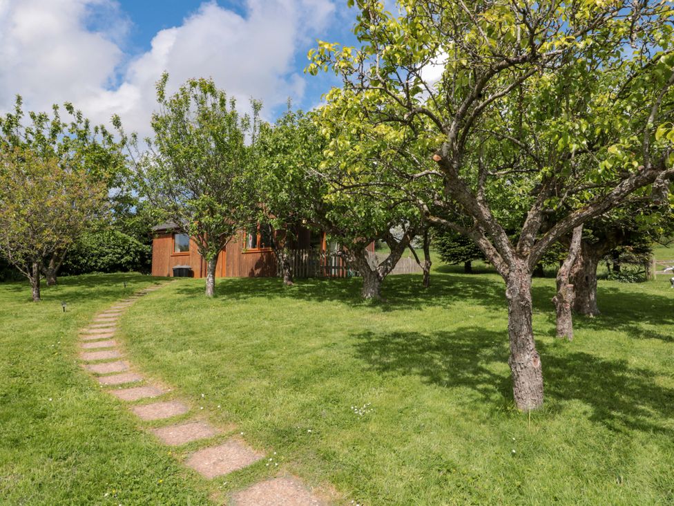 A house with trees and a pathway at Orchard Cottage in Ledbury
