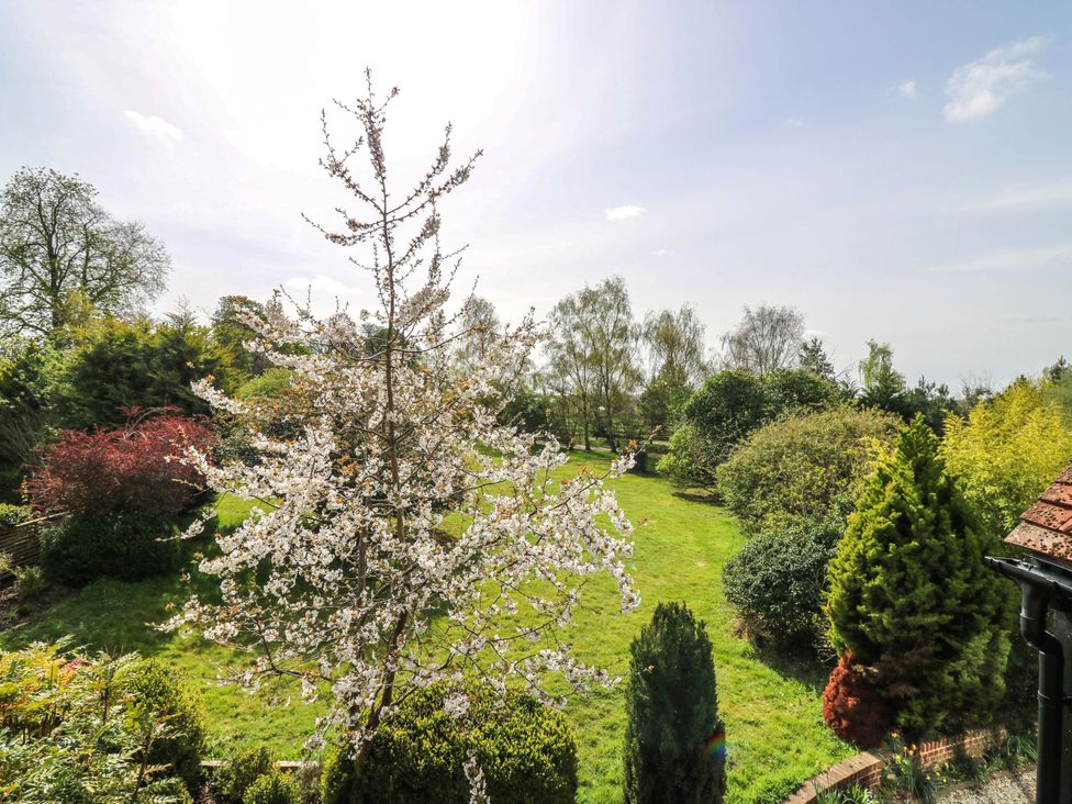A garden with trees and grass at Six Apples in Wethersfield near Finchingfield