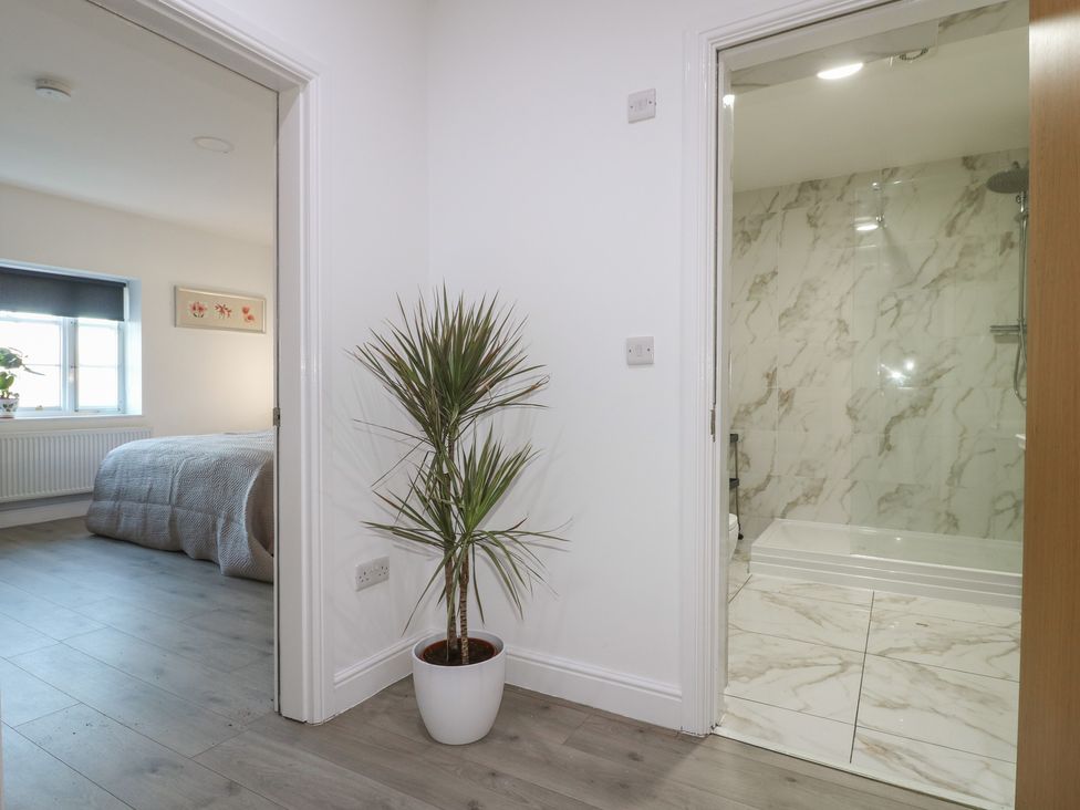 A bathroom with a shower and a plant at Unit 7 Apt 6 (Delux) Sheffield