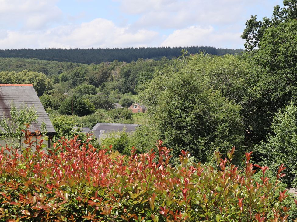 A view of trees and a house with solar panels at Horse Gin in Parkend
