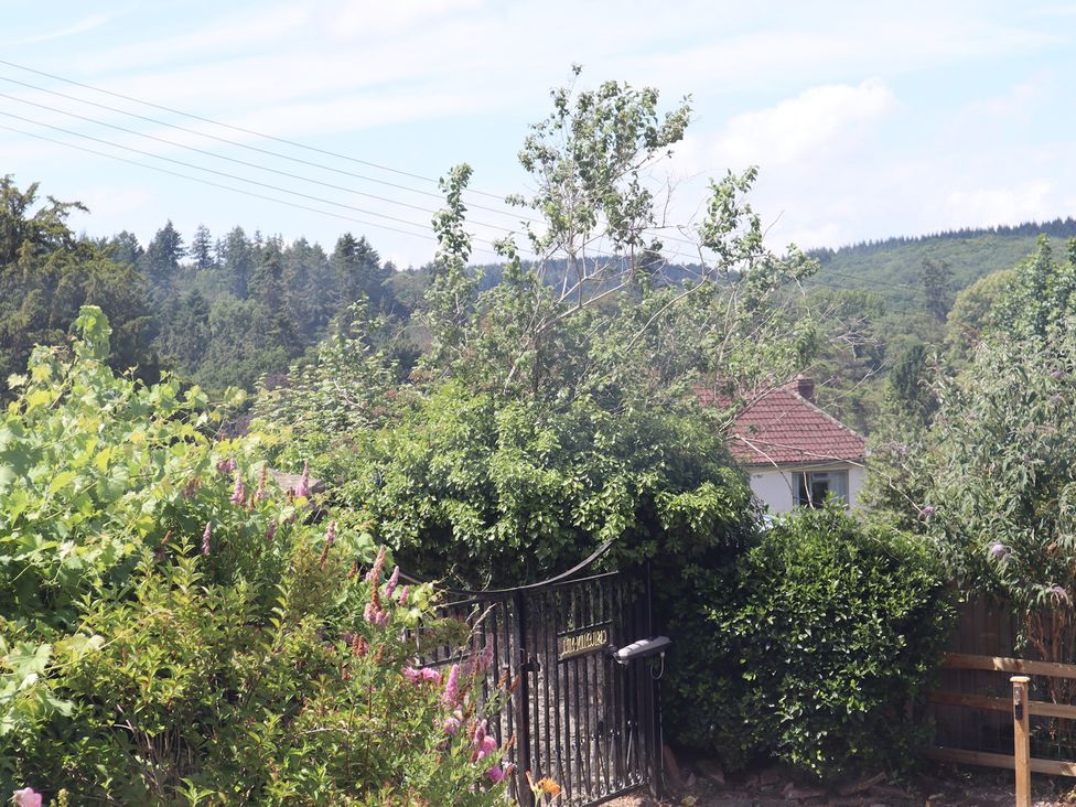 A view of trees and a gate with a house in the background at Horse Gin in Parkend