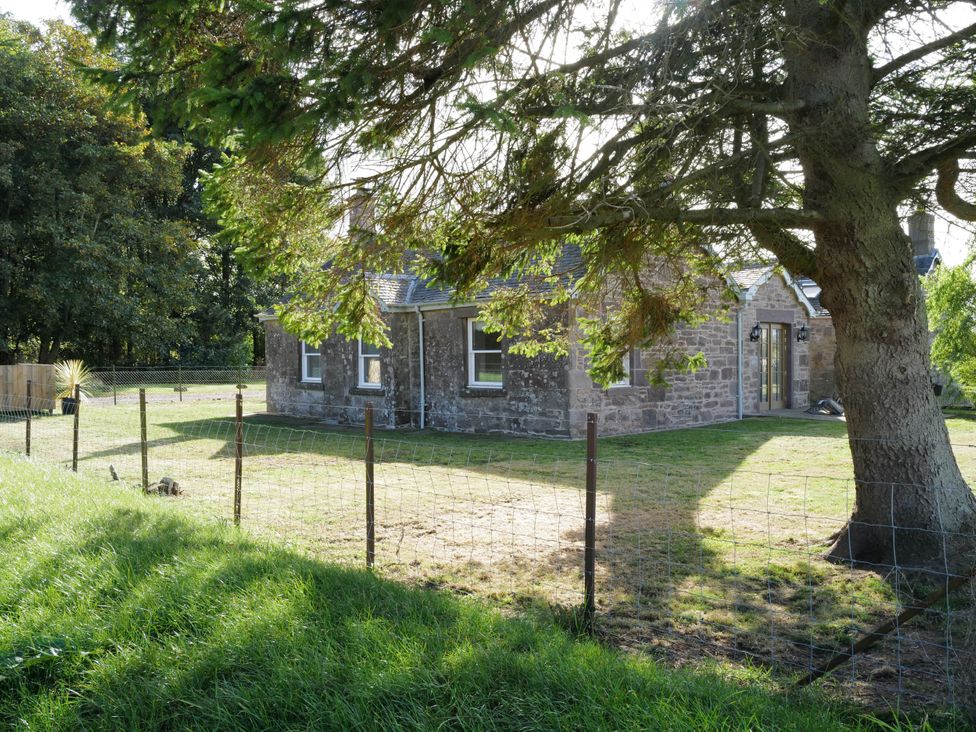 A stone cottage with a fence and tree in an outdoor area at East Camno Farm Cottage Meigle