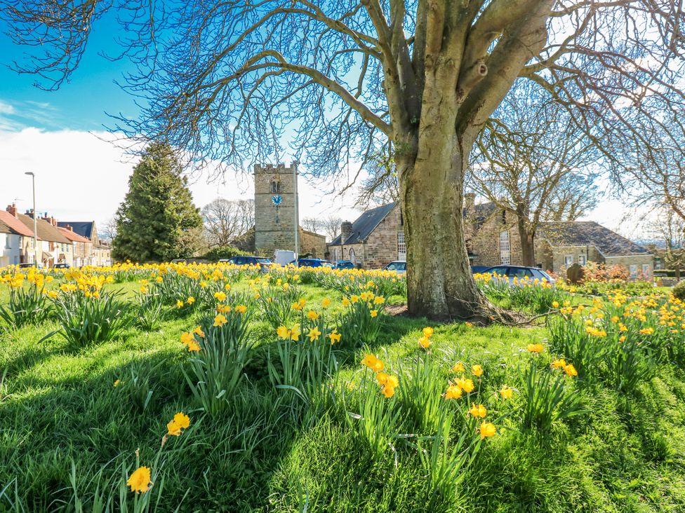 A scene with a tree and daffodils in front of a building and clock tower
