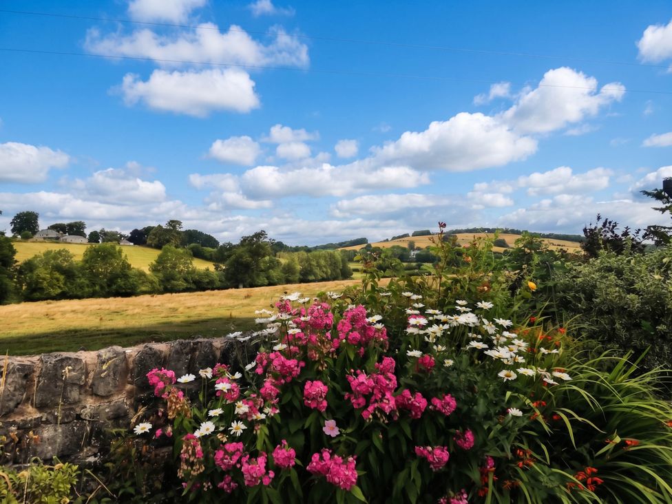 A view of flowers and hills with a blue sky at The Spinney near Milnthorpe