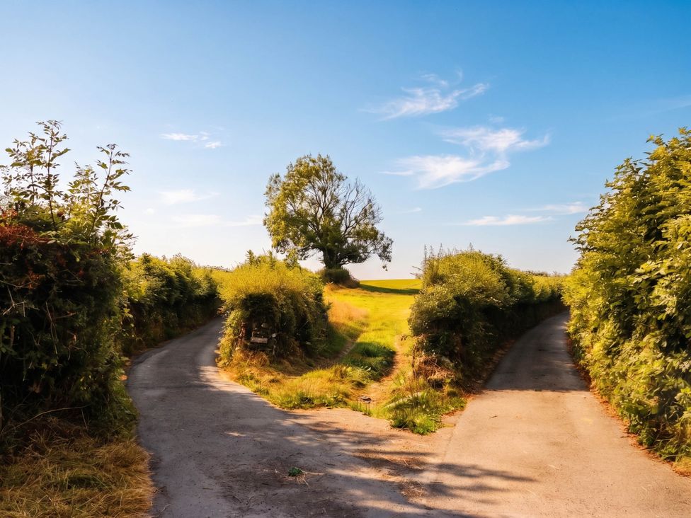 A road splitting into two paths with a tree in the background at The Spinney near Milnthorpe