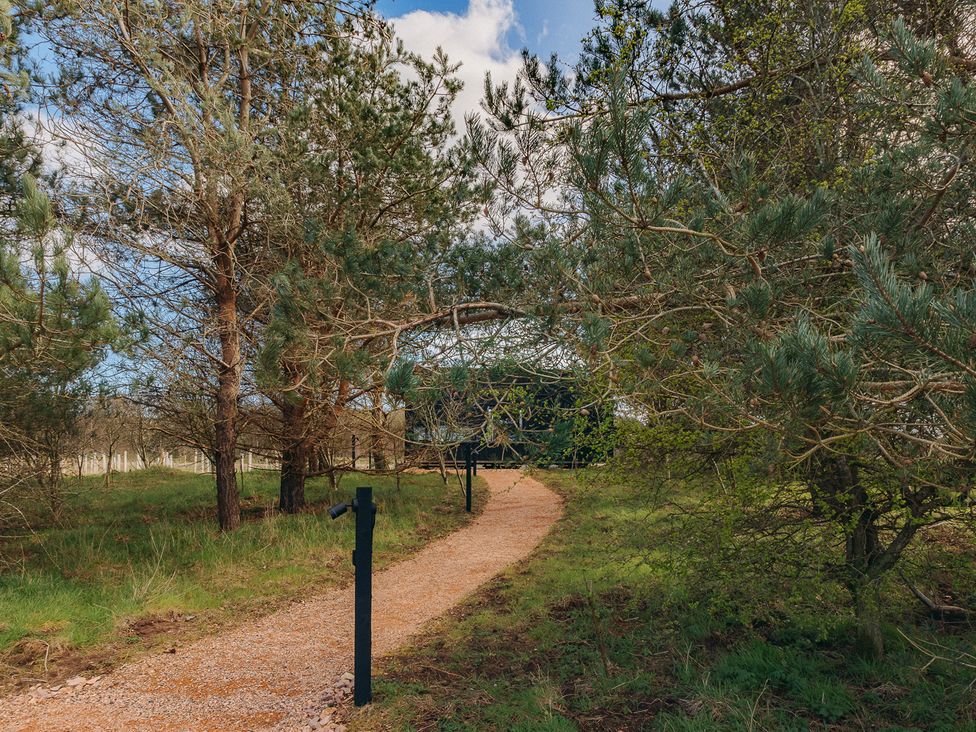 A path through trees leading to a structure at Owl in St. Andrews
