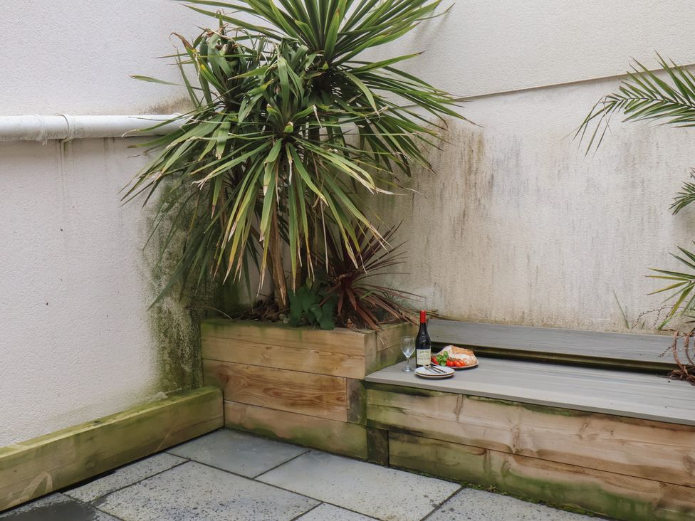 A garden with a palm tree and a plate of food on a wooden bench at South Villa in Sandsend near Whitby