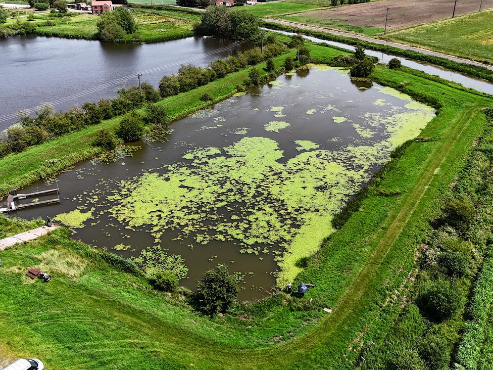 A pond surrounded by grass and plants at James Ville Marina Lodge 14 in Brigg