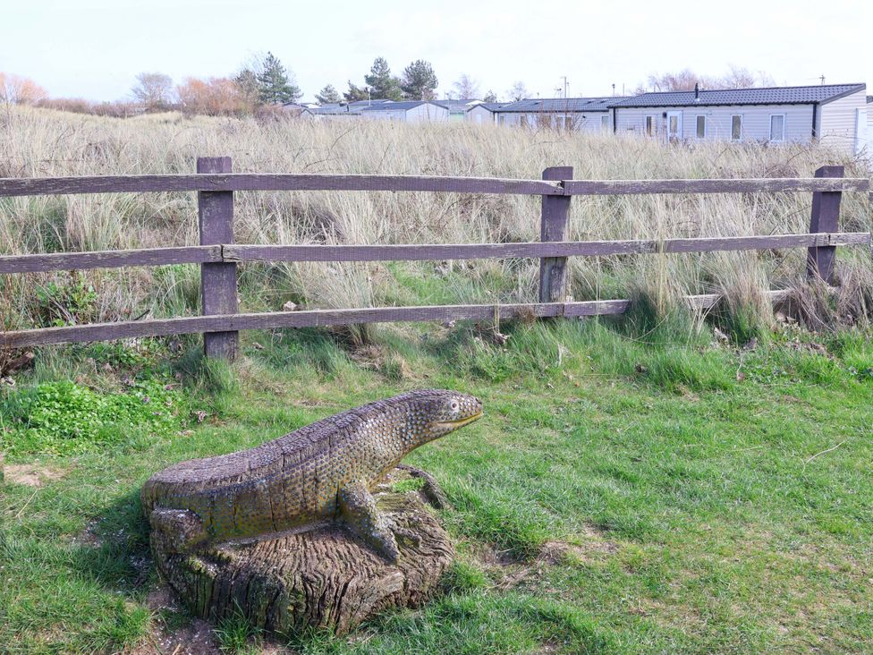A lizard sculpture near a wooden fence and grass at Dunes View in Prestatyn