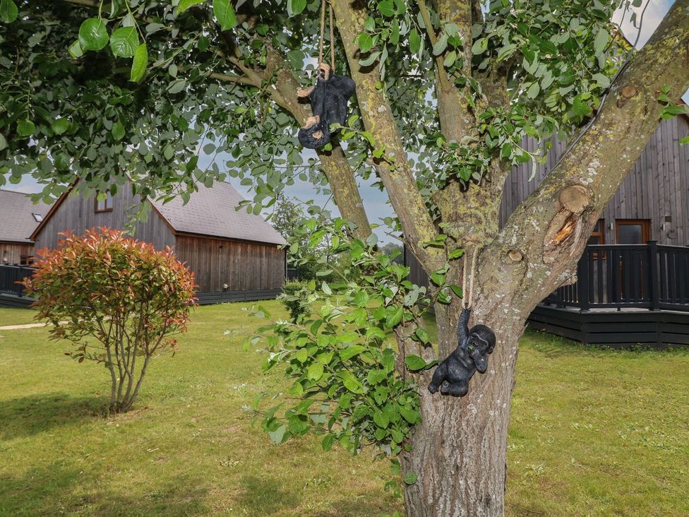 Stuffed animals hanging from a tree in a garden at James Ville Marina Lodge 22 in Brigg