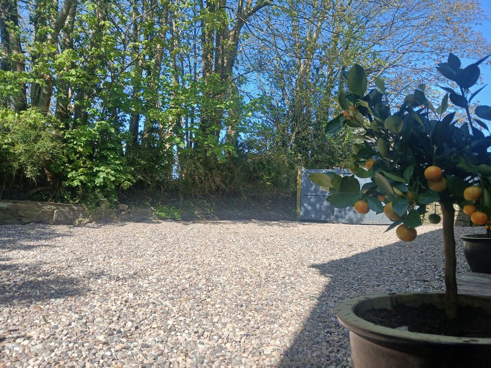 A garden area with trees and a potted plant at The Secret Garden in Narberth