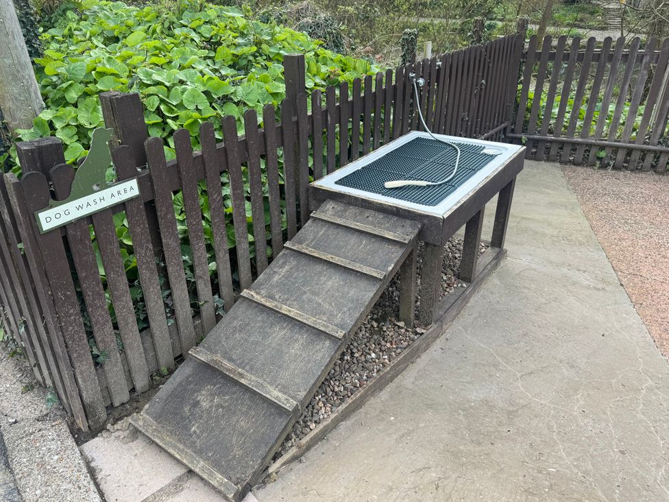 A dog wash area with a ramp and wash station at N5 Ilfracombe