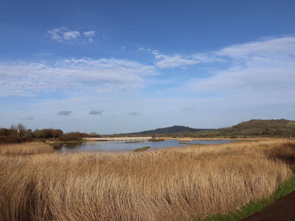 A landscape with water and reeds at Regenna in Seaton