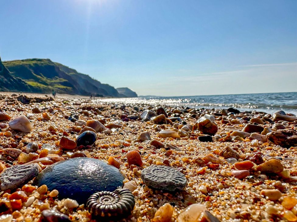Bridge Cottage - Dorset - 1196198 - thumbnail photo 60