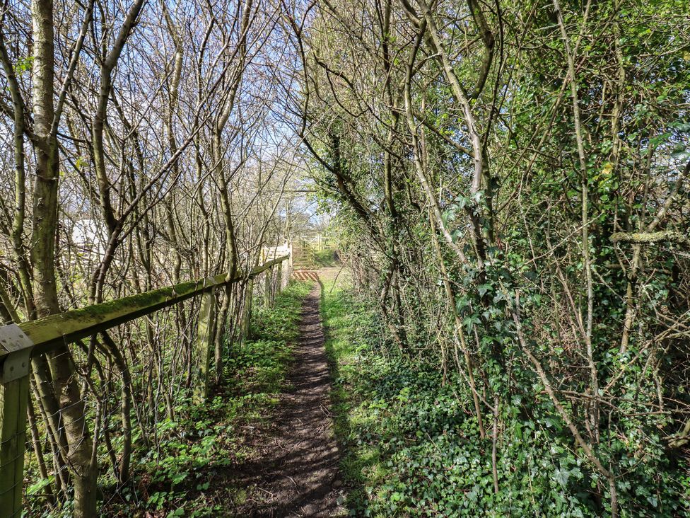 A narrow path surrounded by trees and bushes at The Horse Box in Blaydon-on-Tyne