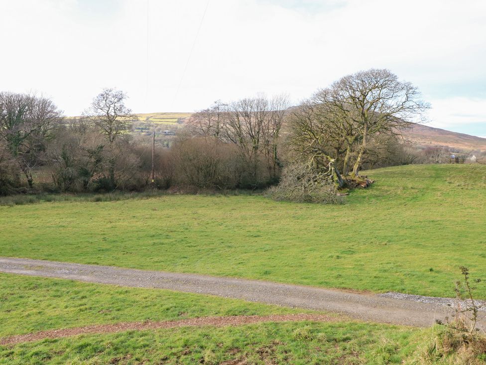 An open field with trees and a dirt path at Cabin in Newport