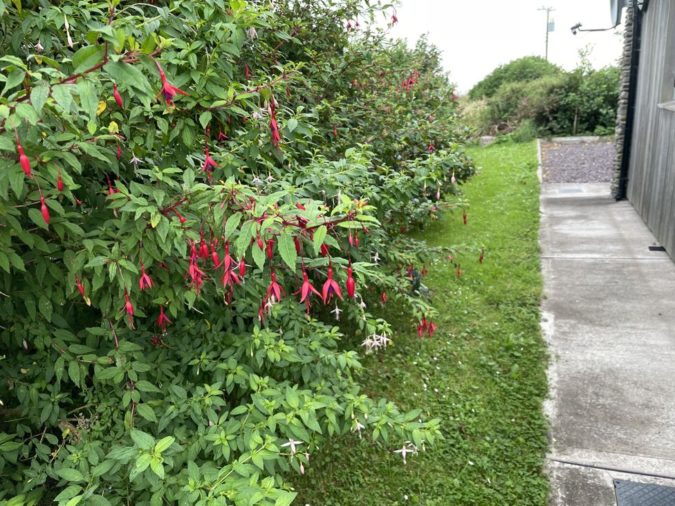 Bosca Neadu - County Kerry - 1196241 - thumbnail photo 14