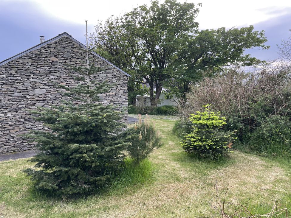 A garden with trees and shrubbery at The Faithfuls Cabin in Dingle, County Kerry