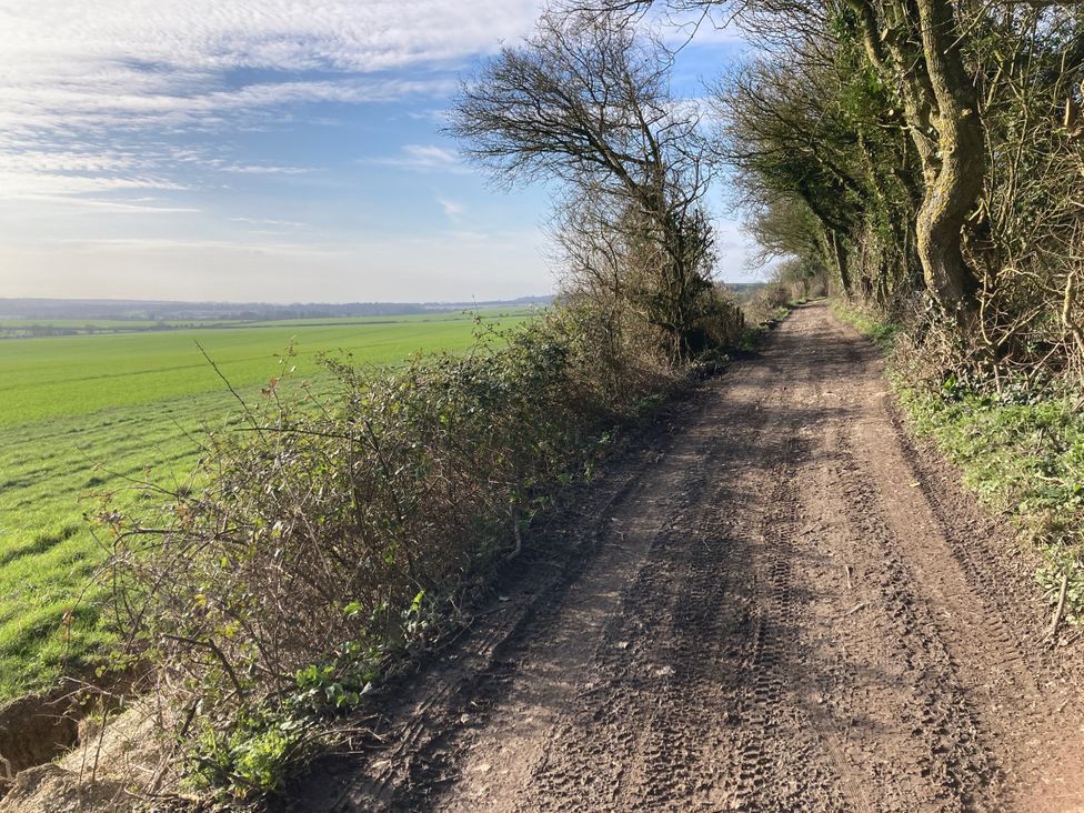 Bluebell Cottage - Kent & Sussex - 1196272 - thumbnail photo 26