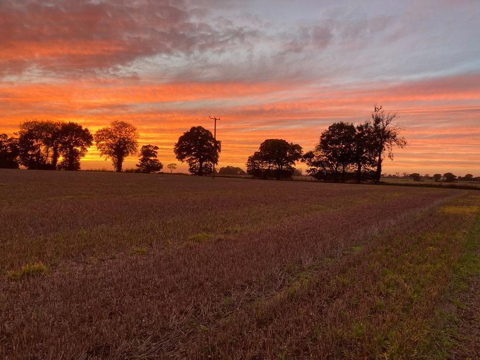 A field with trees and power lines during sunset at Bluebell Cottage near Lenham