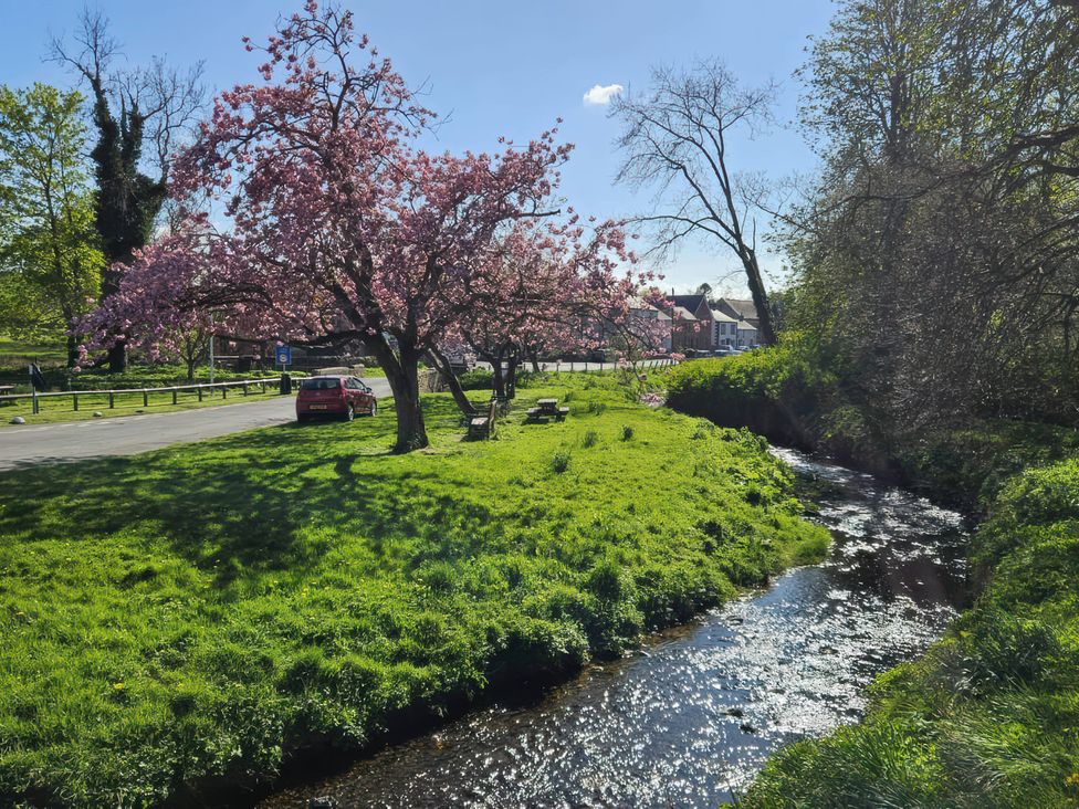 A park area with a tree, bench, and stream at Burn Bank in Warcop