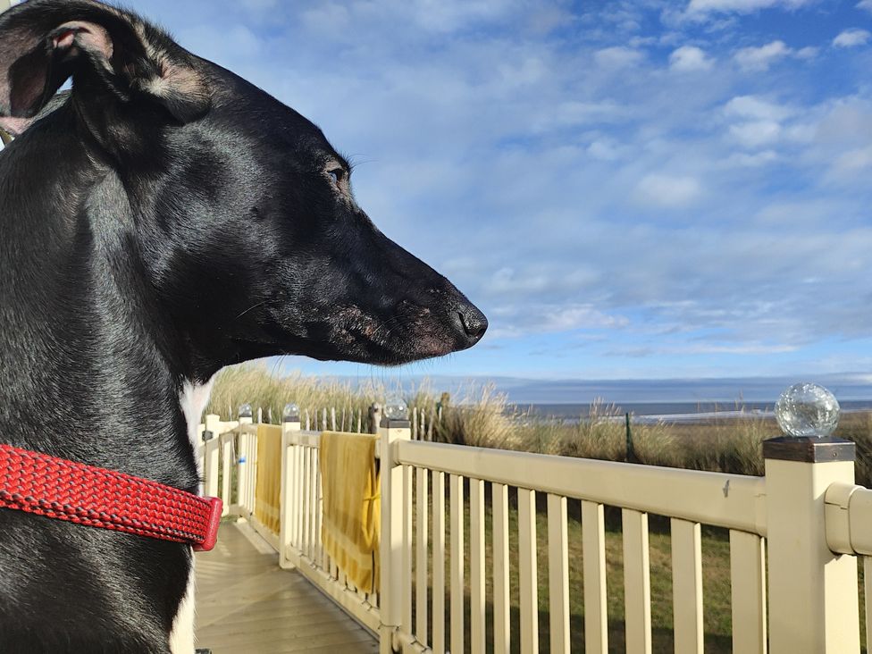 Sands Retreat - North Yorkshire (incl. Whitby) - 1196317 - thumbnail photo 21