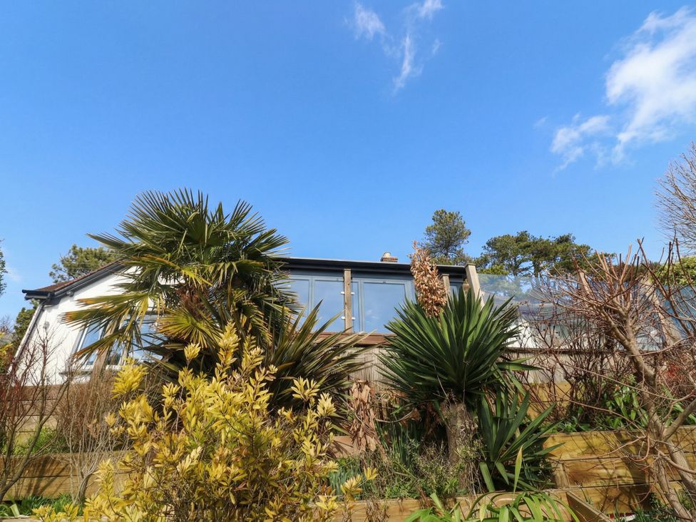 A garden with various plants and a house at Devona Beer