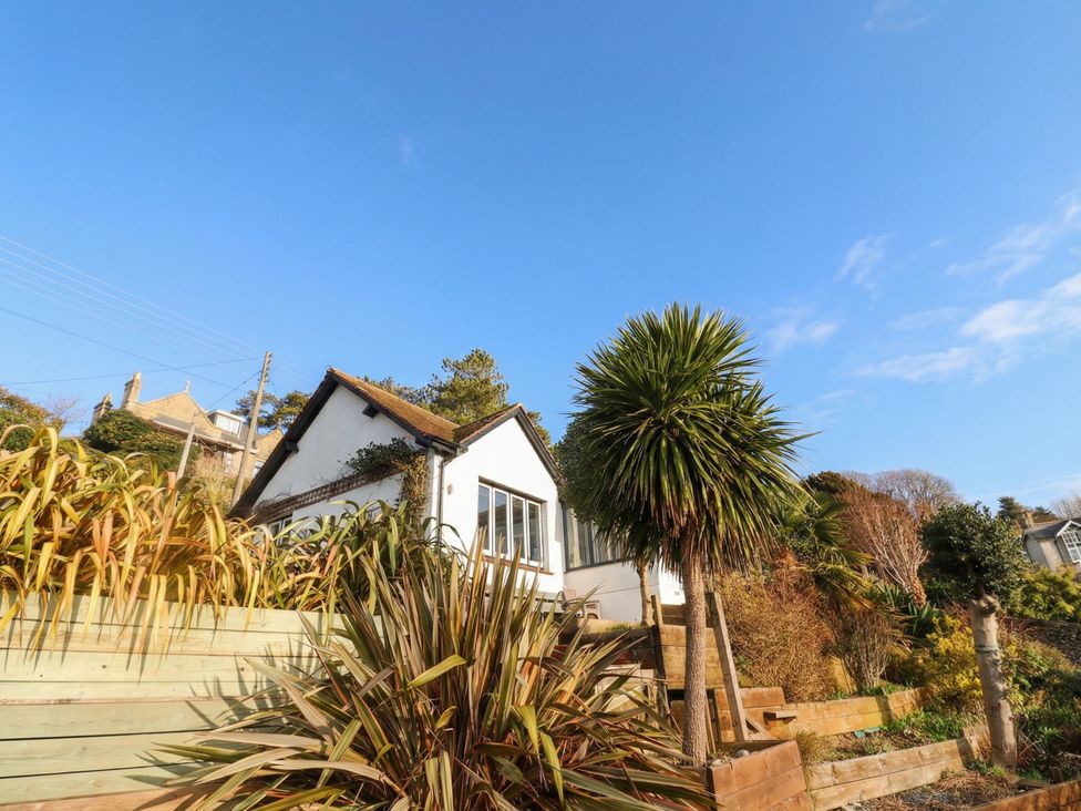 An exterior view of a house with a palm tree and plants in Beer
