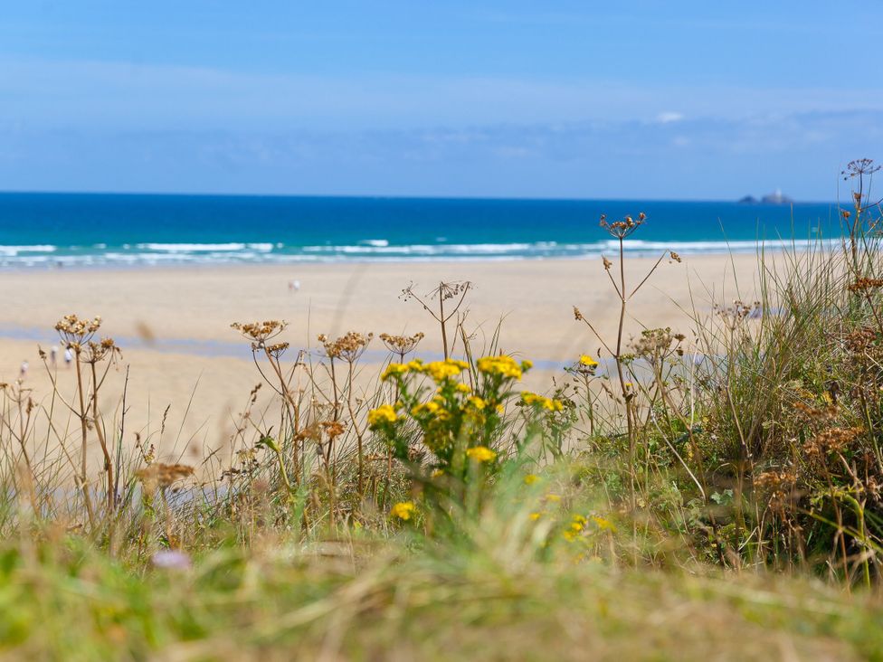 A view of the beach with grass and flowers at Pleasans Hayle
